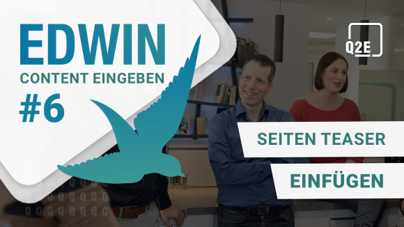 Video-Thumbnail Content eingeben #6 Teaser einfügen
