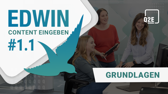Bild vom Team. Im linken oberen Eck eine weiße Raute mit blauem Text: "EDWIN - Content eingeben #1.1". Schräg darüber ein blau-mint-verlaufender Vogel. Im rechten oberen Eck das Logo von Q2E. Rechtsbündig blauer Text in weißer Box "Grundlagen".