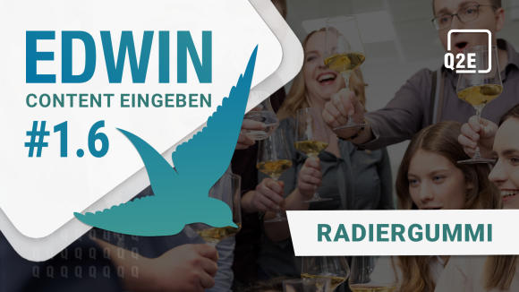 Bild vom Team. Im linken oberen Eck ein weiße Raute mit blauem Text: "EDWIN - Content eingeben #1.6". Schräg darüber ein blau-mint-verlaufender Vogel. Im rechten oberen Eck das Logo von Q2E. Rechtsbündig blauer Text in weißer Box: "Radiergummi".
